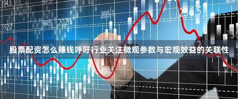 股票配资怎么赚钱呼吁行业关注微观参数与宏观效益的关联性