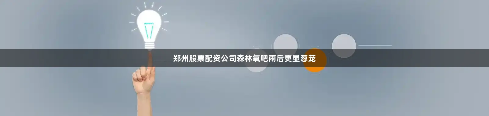郑州股票配资公司森林氧吧雨后更显葱茏